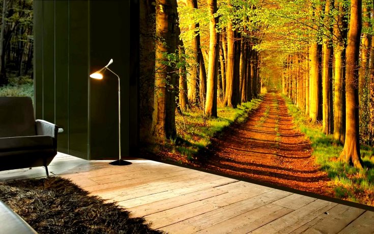 3d Nature Wallpaper For Wall