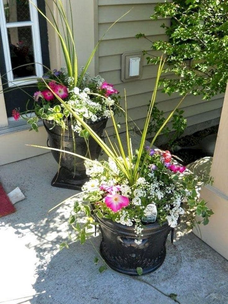 Most Beautiful Container Garden Ideas