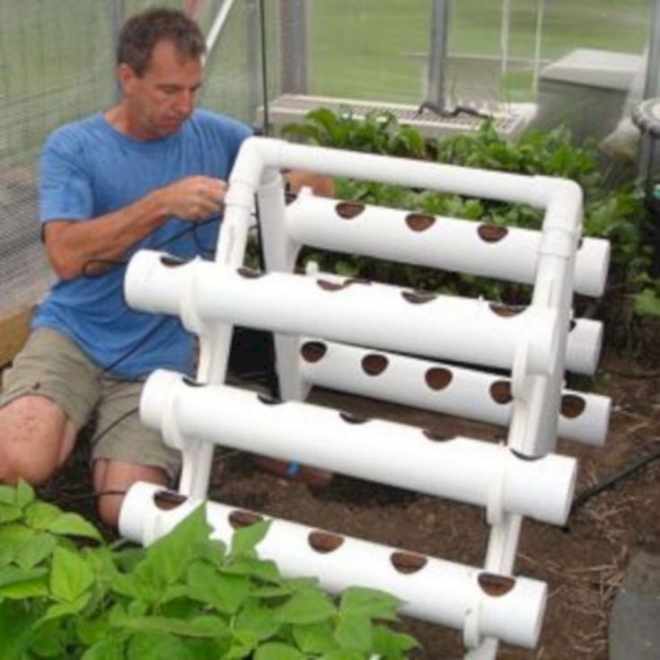 DIY Hydroponic Gardens For Your Small House