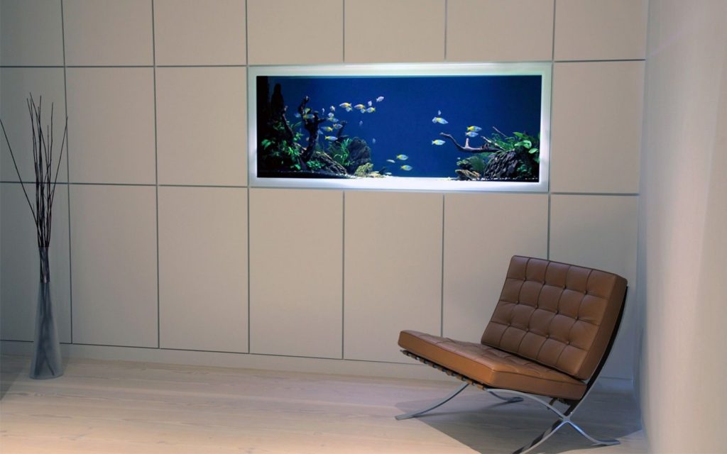 Modern Minimalist Aquarium Ideas