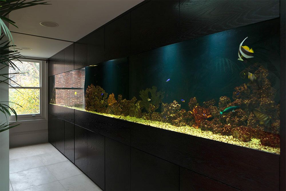 Black Aquarium Wall