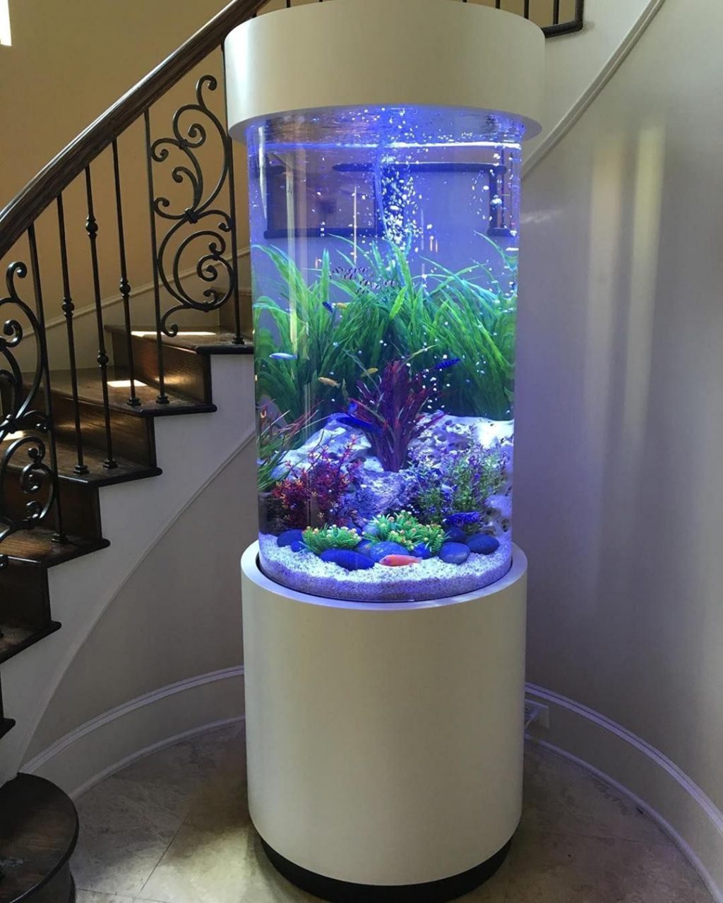Elegant Aquarium Tube