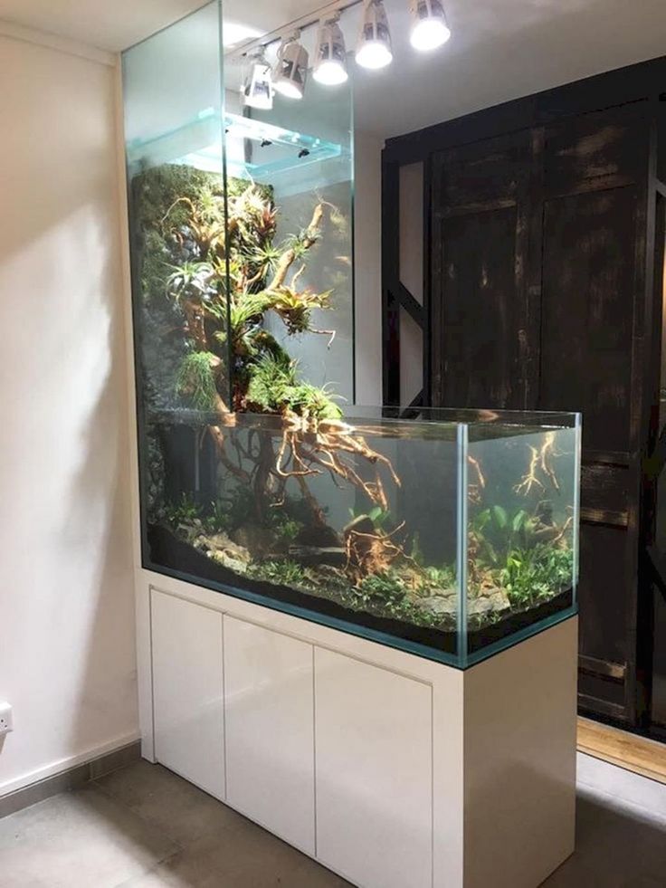 Fresh Wall Mounted Fish Tank