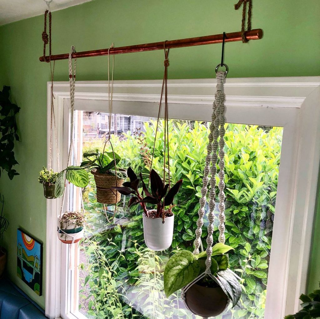 To Hang Multiple Plants Without Putting