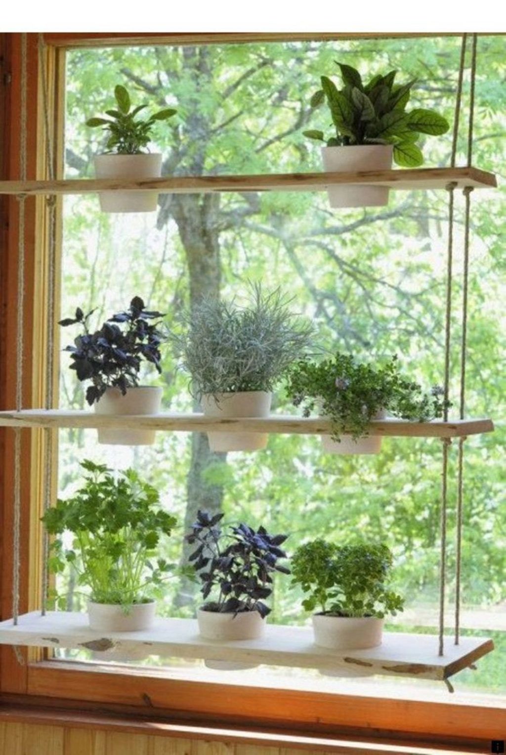 Wooden Wall Hanging Plant Window
