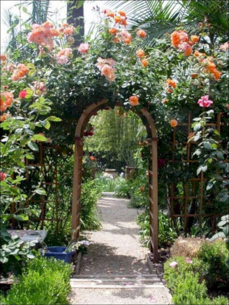 Amazing Rose Garden Ideas on This Year