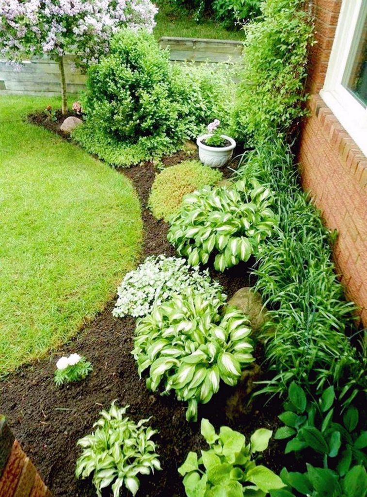 Amazing Side Home Yard Garden Ideas