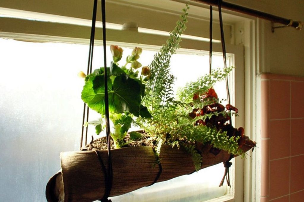 DIY Hanging Indoor Plants source Moetoe