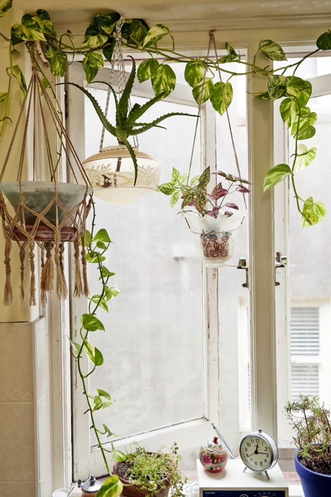 Pendant Lamp Hanging Planters DIY source blog justinablakeney