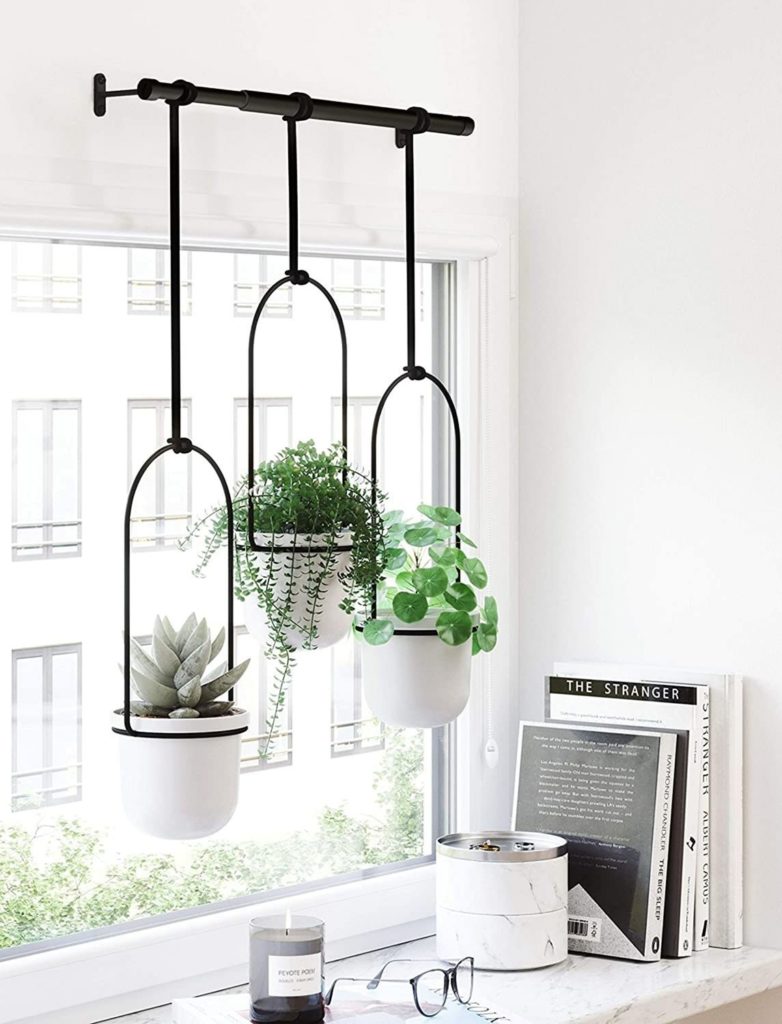 Stylish Planters Hanging Lamps source buzzfeed