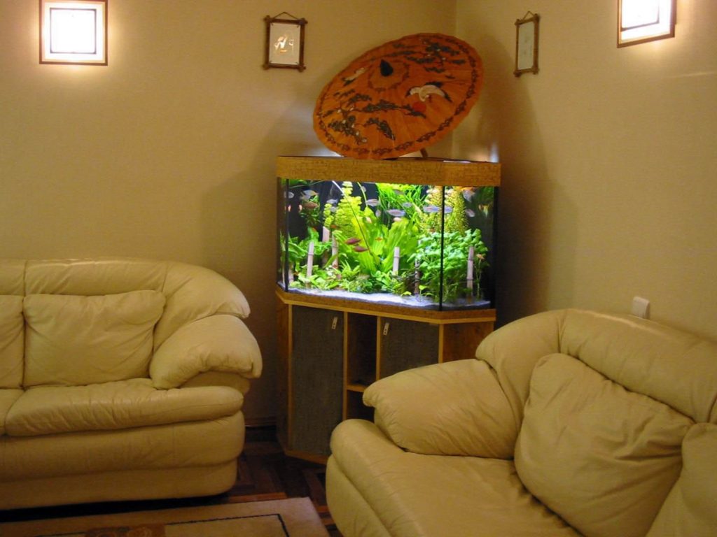 Corner aquarium in the interior from svoulmirukami