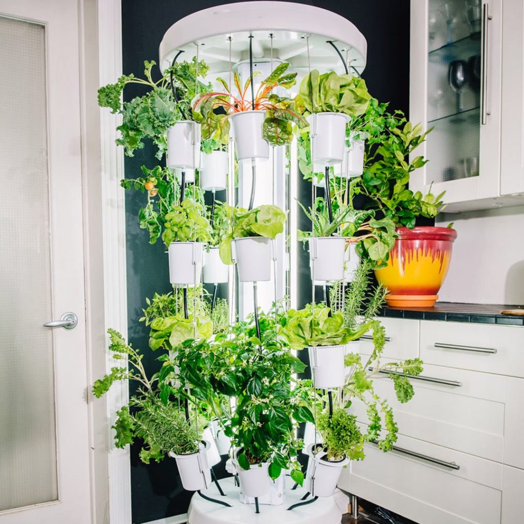 Nutritower Vertical Hydroponic Indoor Gardening