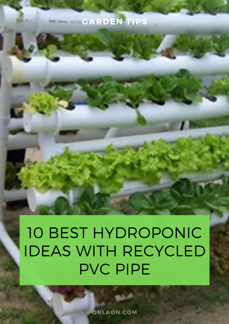Best Hydroponic Ideas With Recycled PVC Pipe