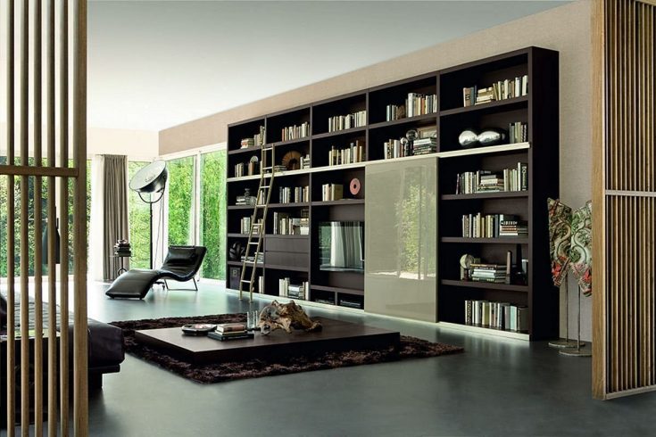 Black Bookcase Decoration Ideas