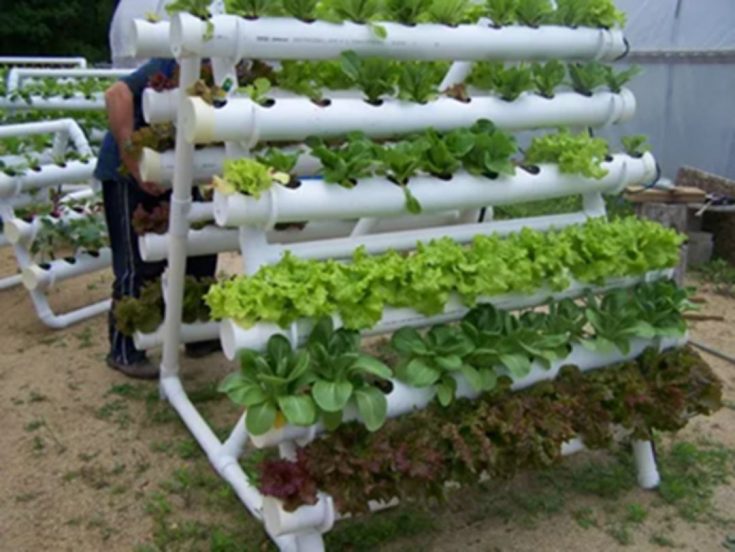 Small PVC Pipe Vertical Vegetable