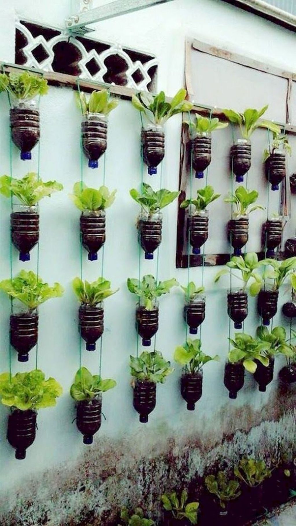DIY Vertical Hanging Plants