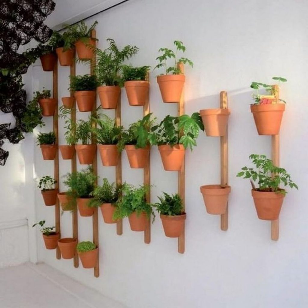 DIY Vertical Plant Ideas