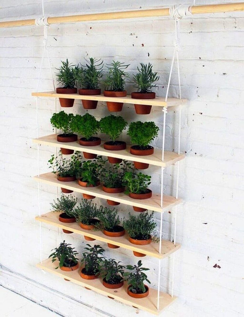 Indoor Herb Plant Ideas