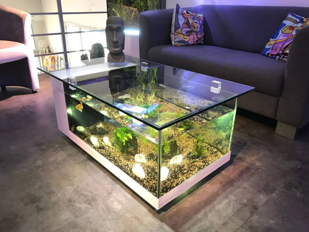 Fish Tank on Table