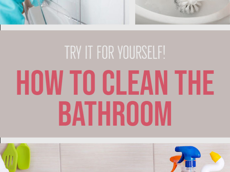 Try it for yourself! How To Clean The Bathroom