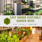 7 Easy Indoor Vegetable Garden Ideas For Private Consume