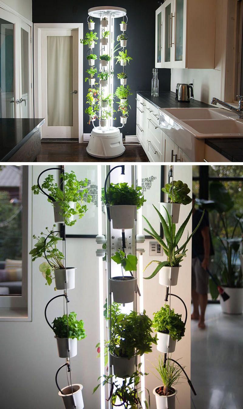 How to Upgrade Indoor Vegetable Garden