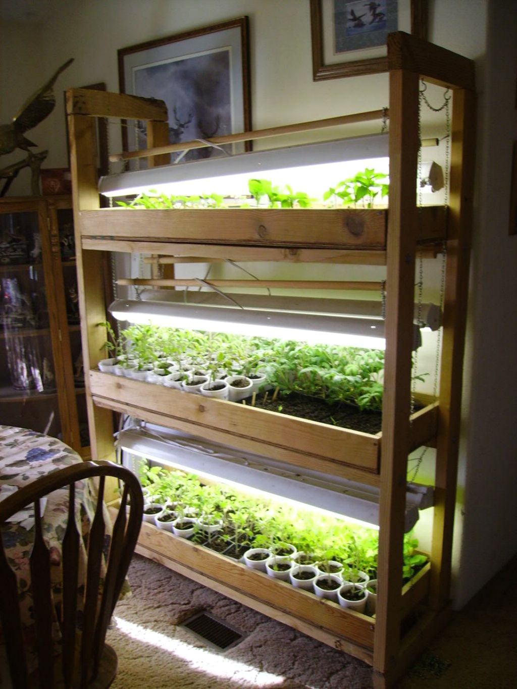 Simple Indoor Vegetable Garden