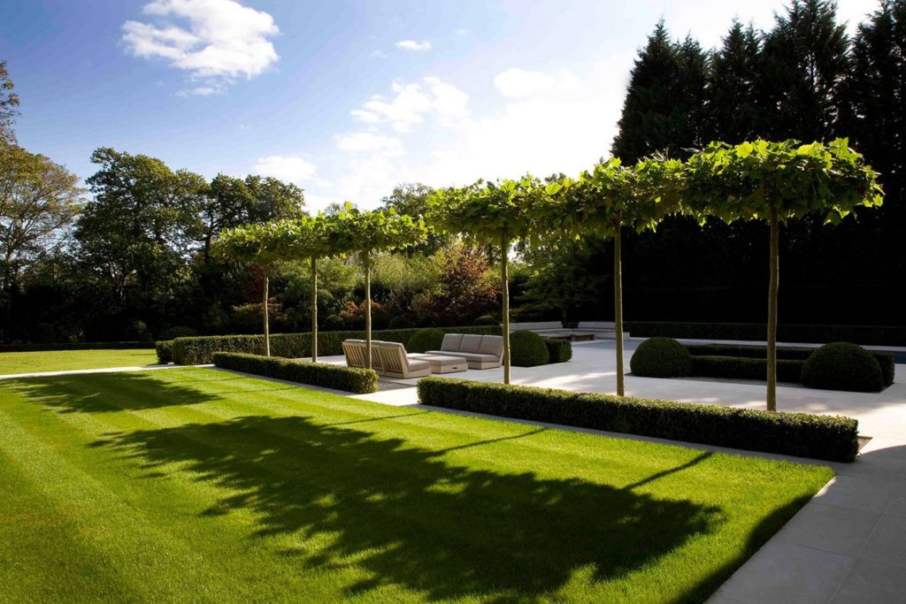 Elegant Minimalist Garden Design