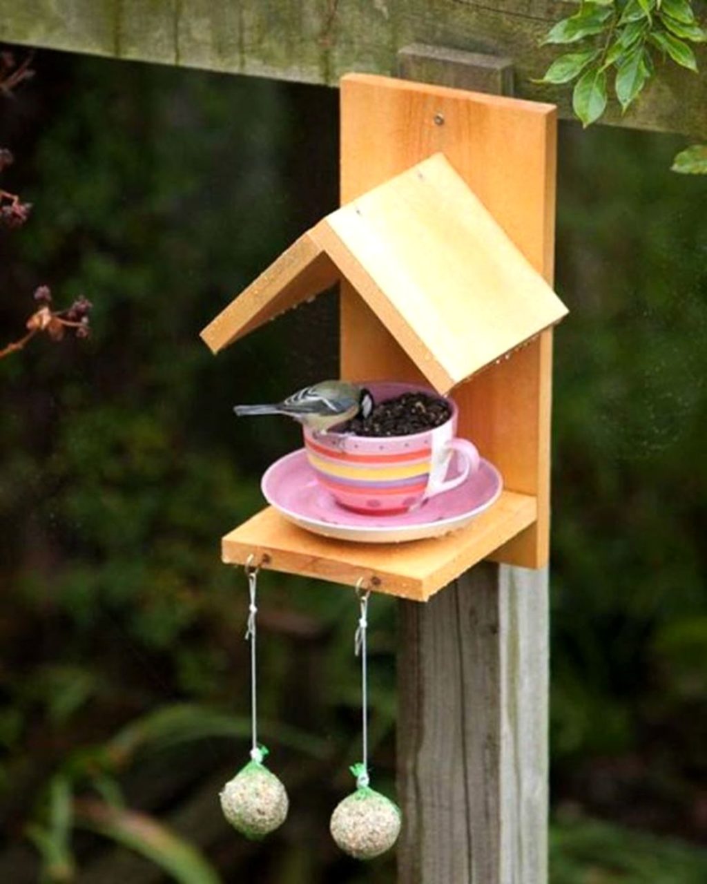 DIY Bird Feeders Seashells source instagram