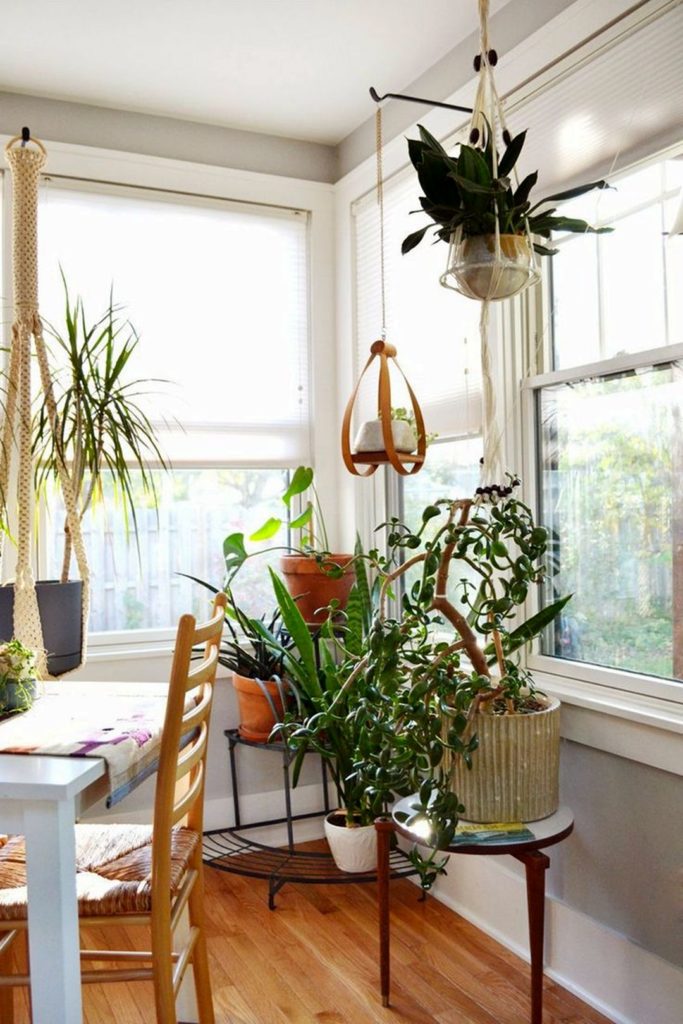 Hanging Indoor Plant Inspiration source Oh Lovely Day