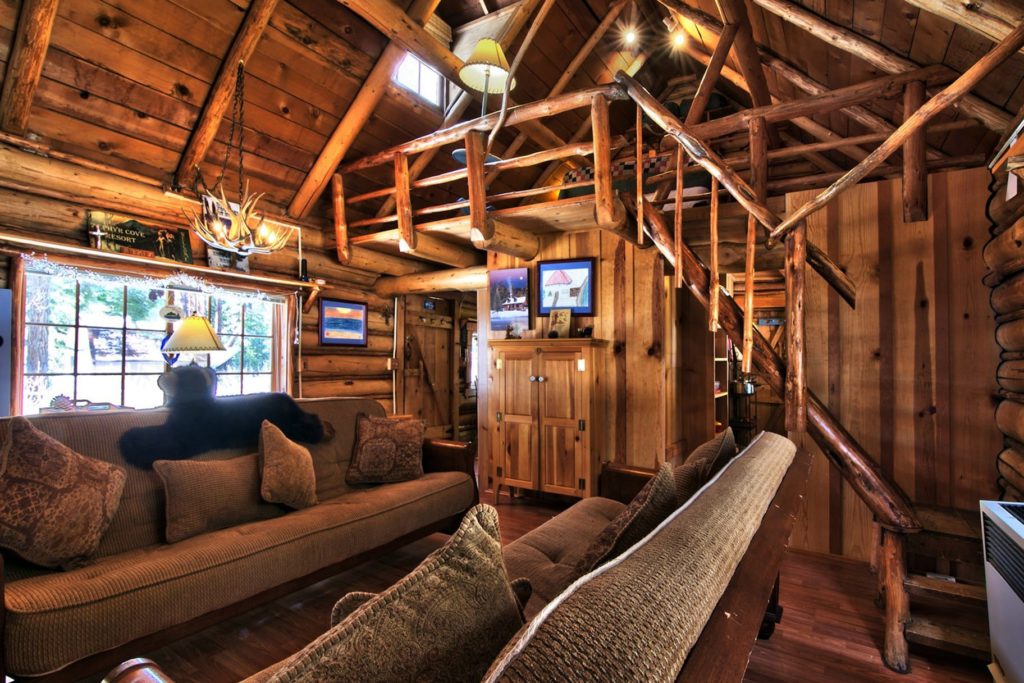rustic little log cabin sits among towering source Small House Bliss