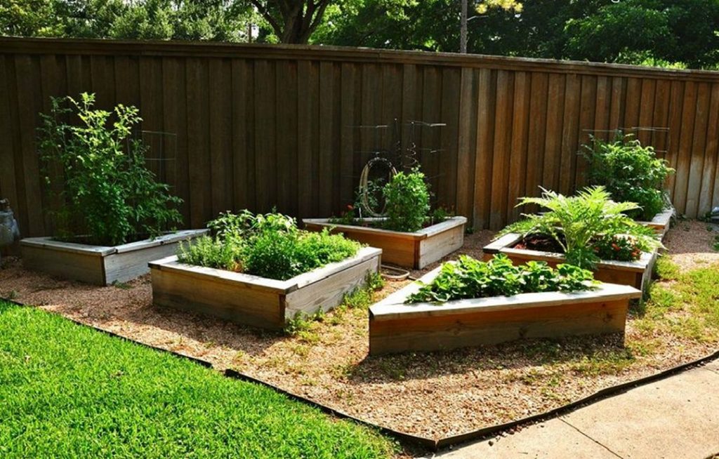 Backyard Raised Garden Bed With Various Shapes via Small Kitchen Garden