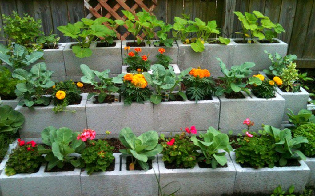 Creative Cinder Block Raised Garden Beds via Garden Lovers Club