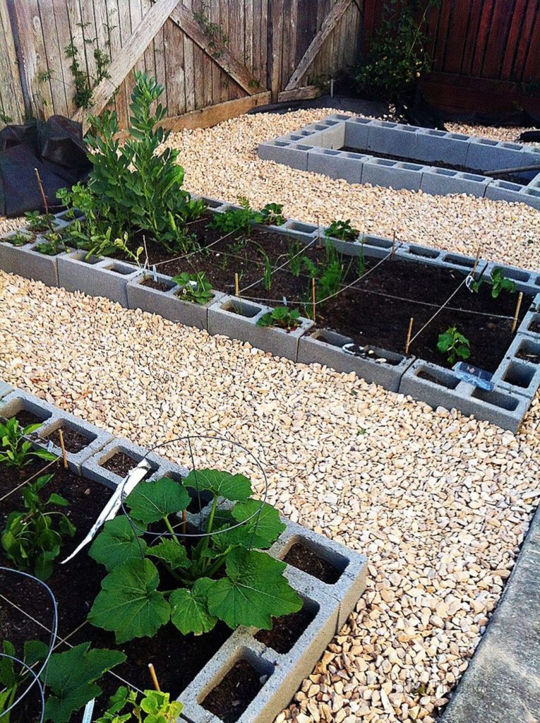 Vegetable garden using cinderblocks via its-fitting