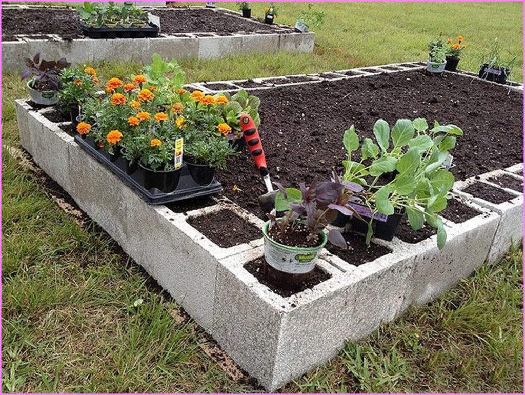 cheap raised garden beds using cinder blocks via Wilson Rose Garden