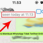 Cara Membuat WhatsApp Tidak Terlihat Online 