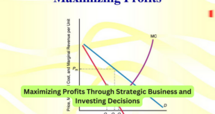 Maximizing Profits Through Strategic Business and Investing Decisions