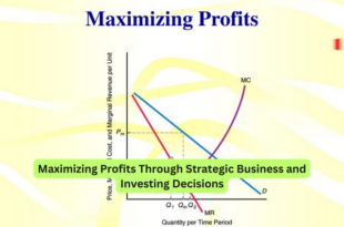 Maximizing Profits Through Strategic Business and Investing Decisions