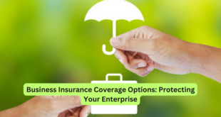 Business Insurance Coverage Options Protecting Your Enterprise