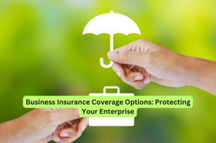 Business Insurance Coverage Options Protecting Your Enterprise