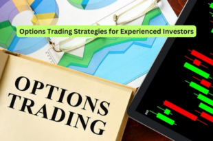 Options Trading Strategies for Experienced Investors