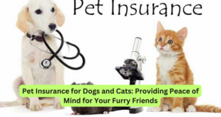 Pet Insurance for Dogs and Cats Providing Peace of Mind for Your Furry Friends