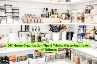DIY Home Organization Tips & Tricks Mastering the Art of Tidiness