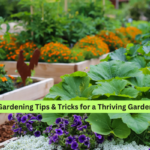 Gardening Tips & Tricks for a Thriving Garden