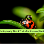Photography Tips & Tricks for Stunning Shots
