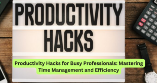 Productivity Hacks for Busy Professionals Mastering Time Management and Efficiency
