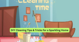 DIY Cleaning Tips & Tricks for a Sparkling Home