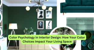 Color Psychology in Interior Design How Your Color Choices Impact Your Living Space