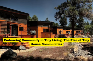 Embracing Community in Tiny Living The Rise of Tiny House Communities