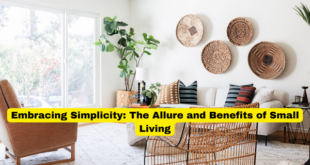 Embracing Simplicity The Allure and Benefits of Small Living